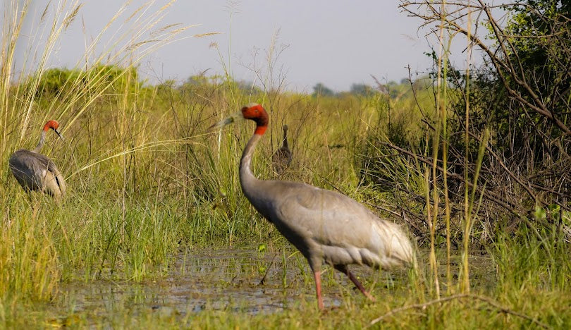 Office Chairs in Bharatpur