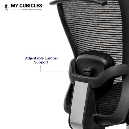 Cosmic Horizon Nylon Base Ergonomic Office Chair with Headrest - Adjustable Lumbar Support View